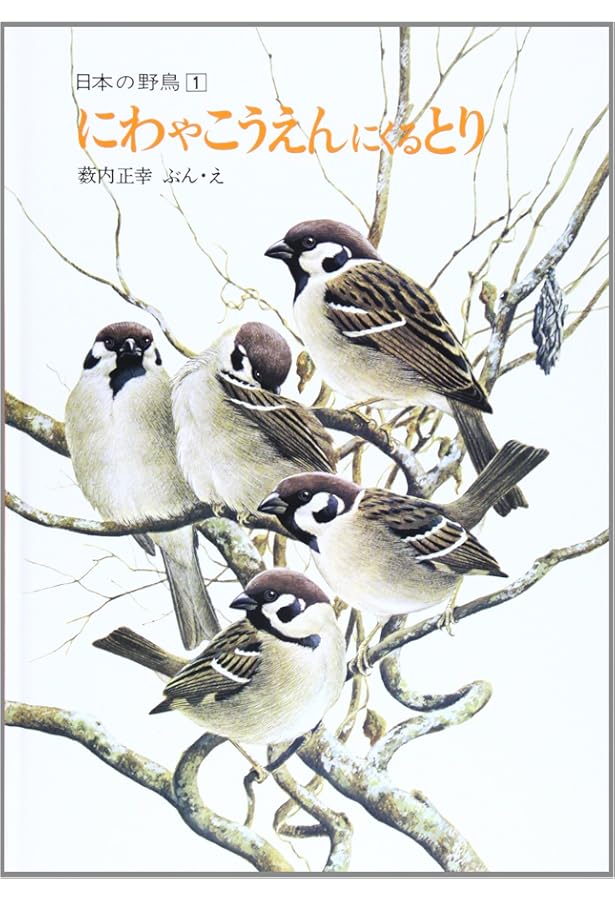 【極美品】ペーパーバック版　日本の野鳥セット　薮内正幸 極美品】ペーパーバック版 日本の野鳥セット 薮内正幸 極美ペーパーバック